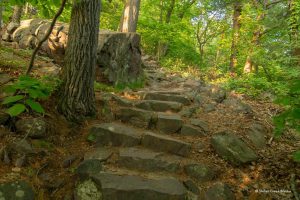 Steps to eastern bluffs